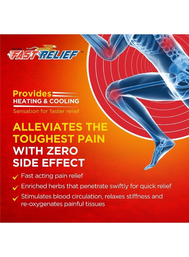 Himani Fast Relief Herbal Pain Relief Ointment 100 G - Image 4